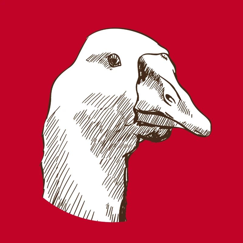 Goose