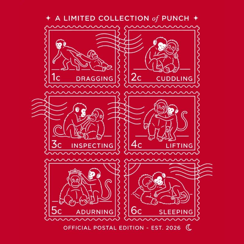 Tampons Bébé Singe Punch