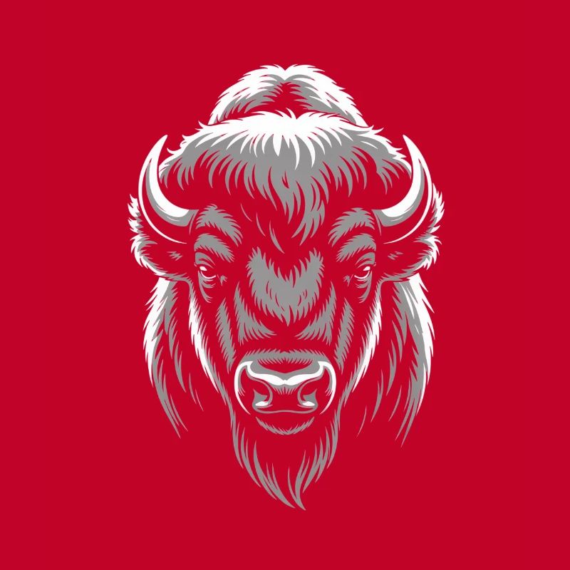 Tête de bison gris