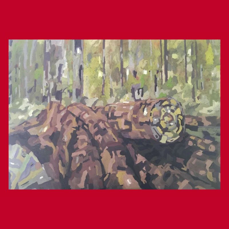 Baumstämme im Wald – eine impressionistische Landschaft