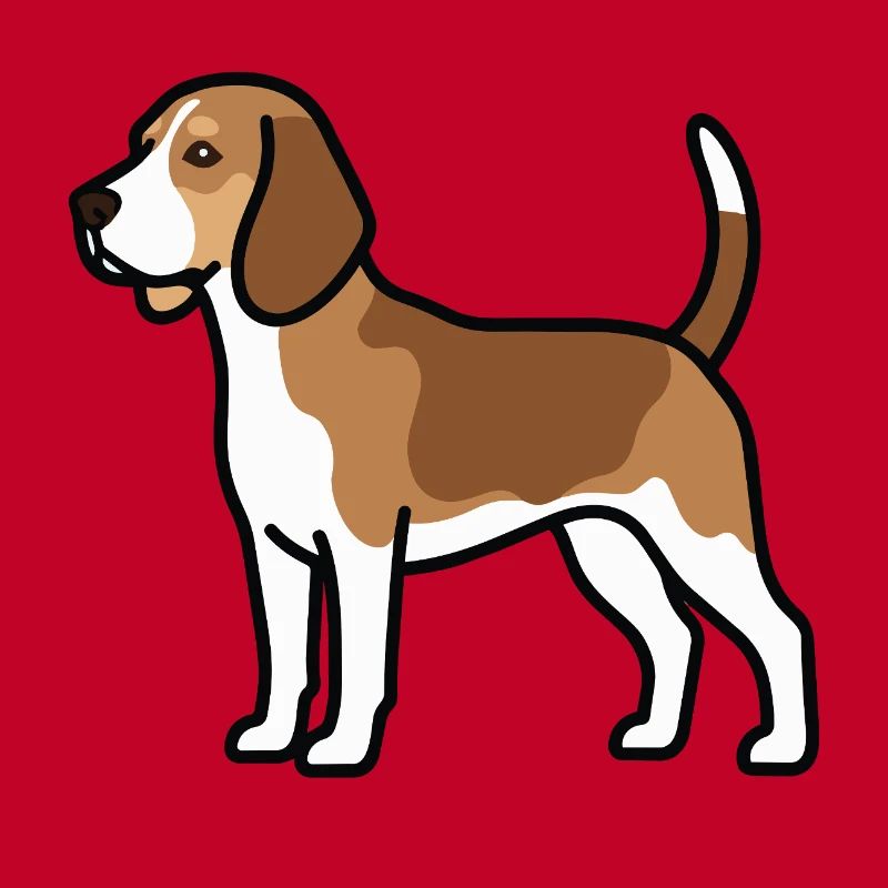 Beagle Dog