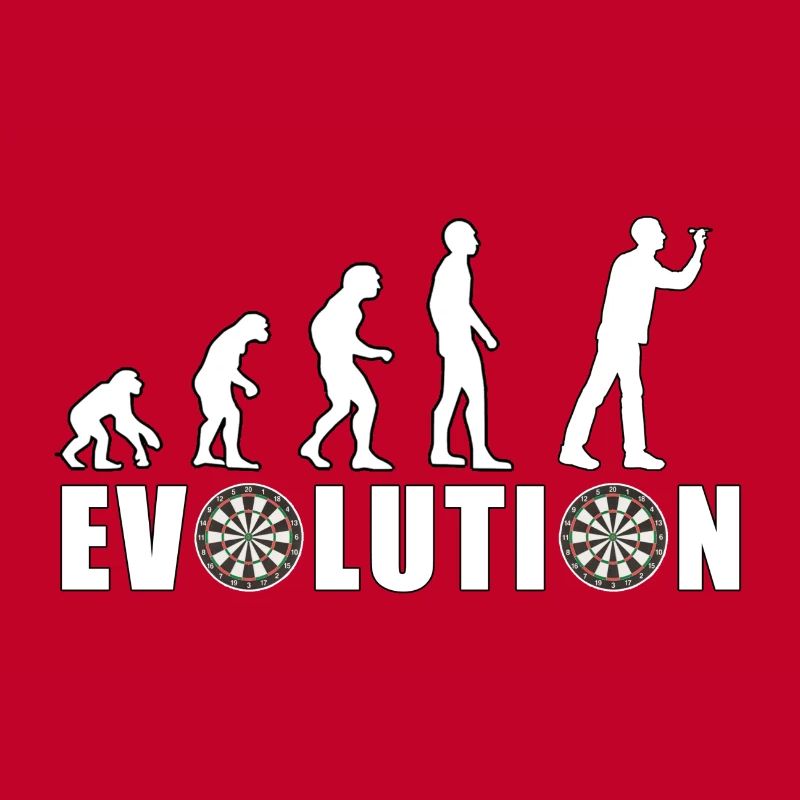 EVOLUTION DARTS Spiel Pfeil Dartscheibe Geschenk