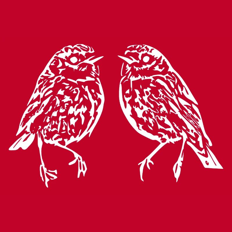 oiseaux blancs oiseau cadeau blanc ornithologue