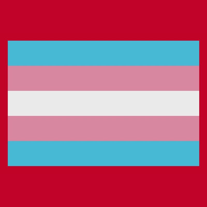 Drapeau trans