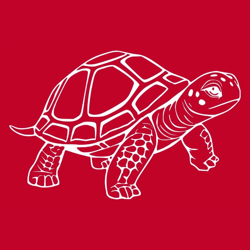 Turtle Turtles