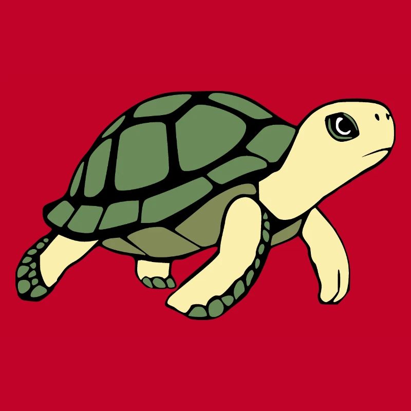 Turtle Turtles
