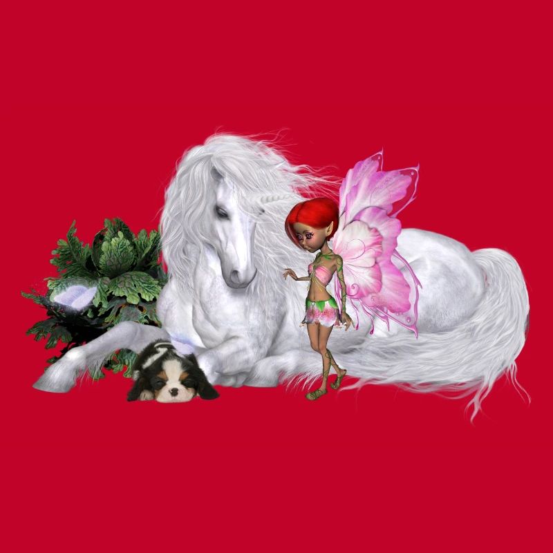 Wunderbares Einhorn mit Fee
