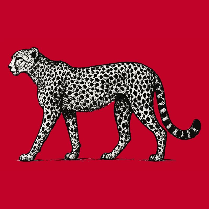 Black and White Leopard Pattern