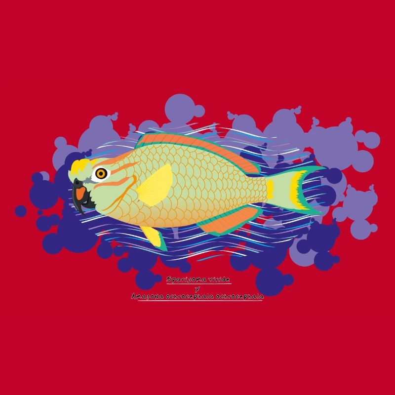Poisson-perroquet / Hybride