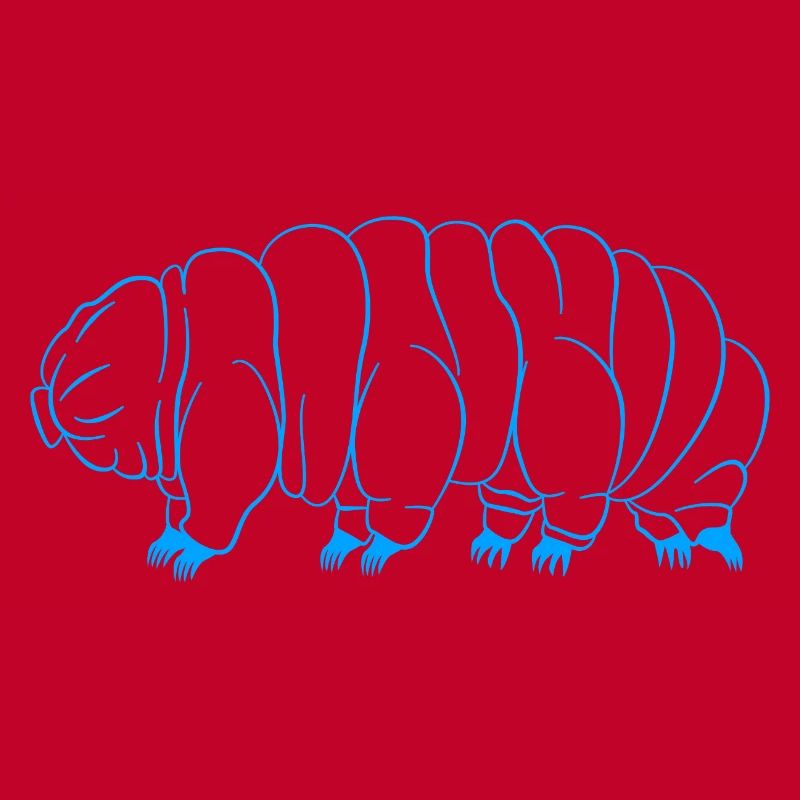 Tardigrade Tardigrade Water Bear Tardigrade