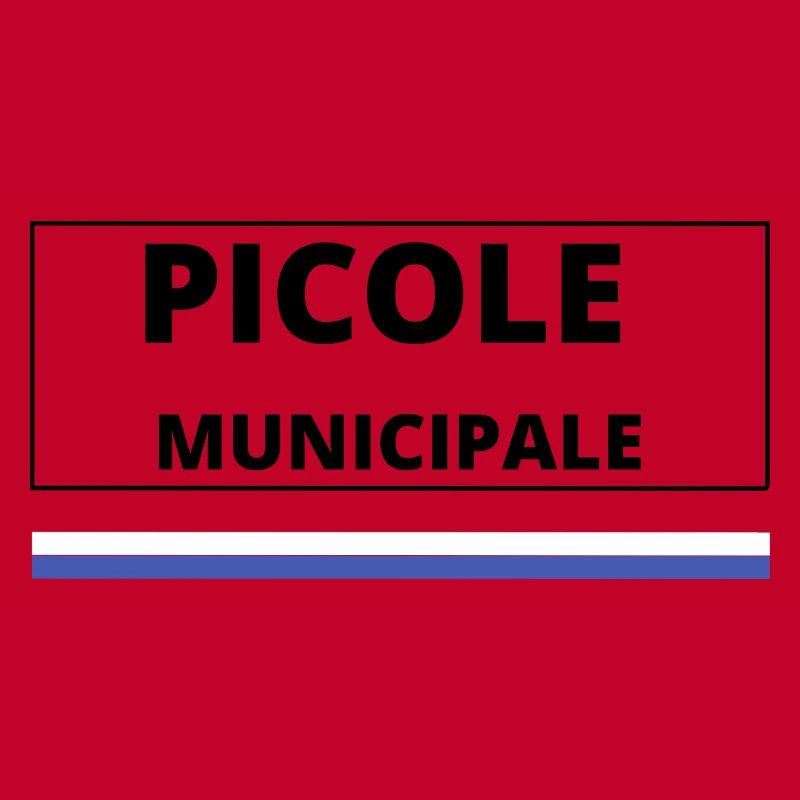 Picole municipale