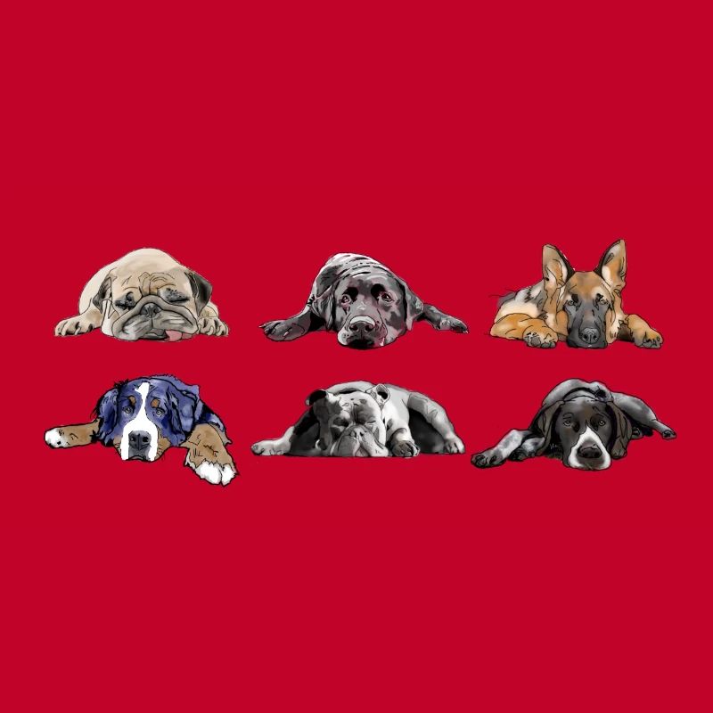 Pug Labrador German Shepherd Bernese Bulldog Pointer