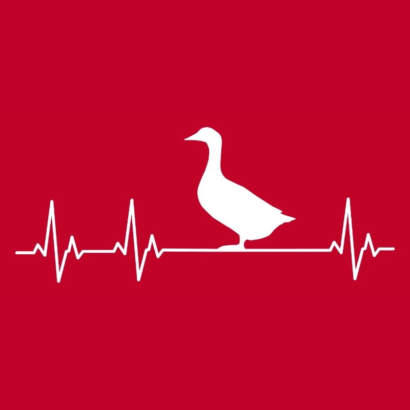 Duck - Ducks - Duck Breeder - Love