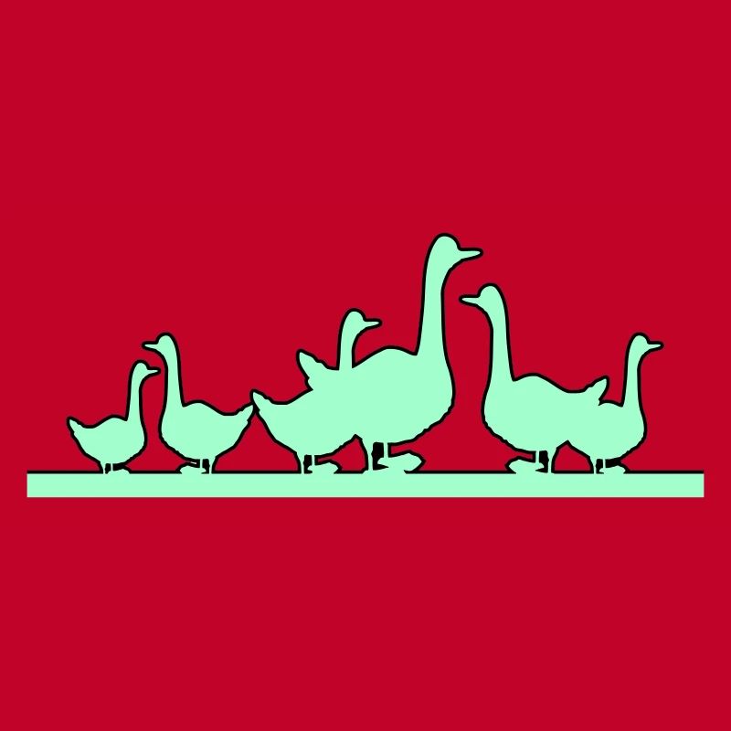 Ducks Geese