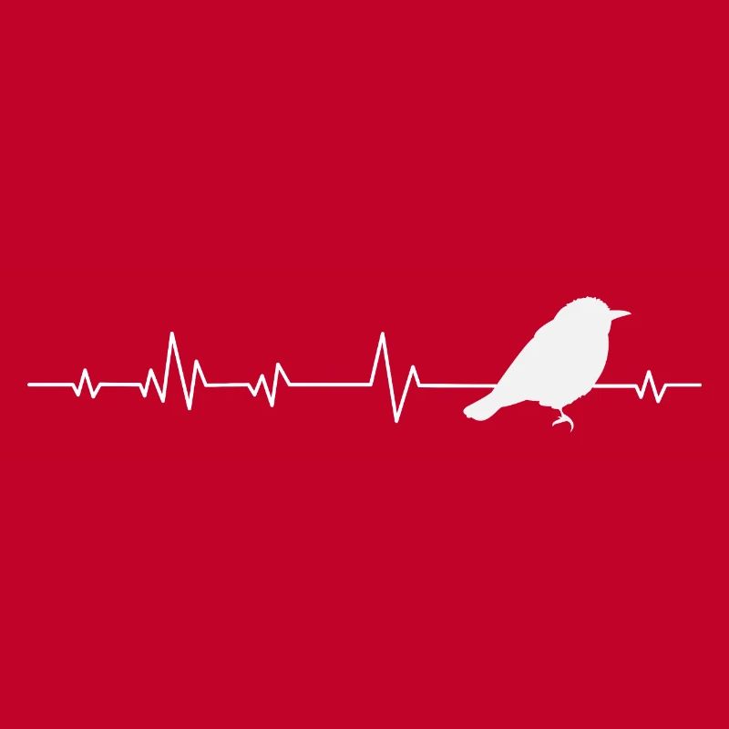 Oiseaux oiseaux
