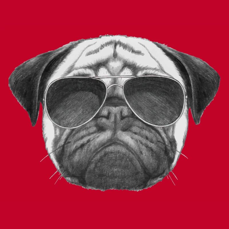 mops pug