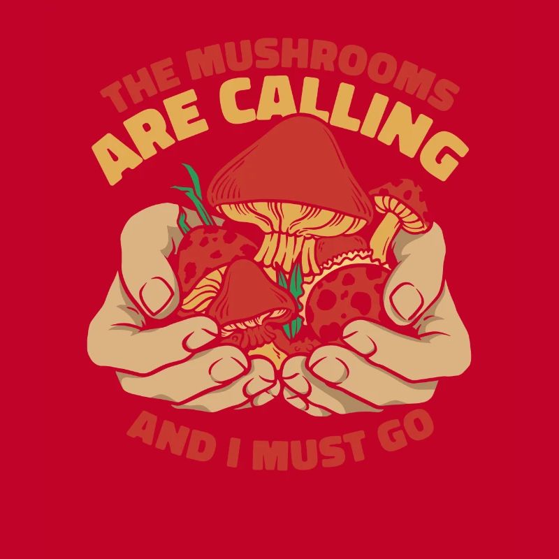 Champignons Champignons Champignon Champignon