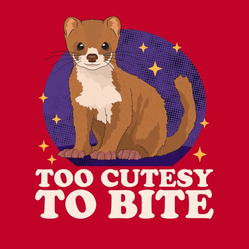 Weasel Mouse Weasel Small Weasel Gift