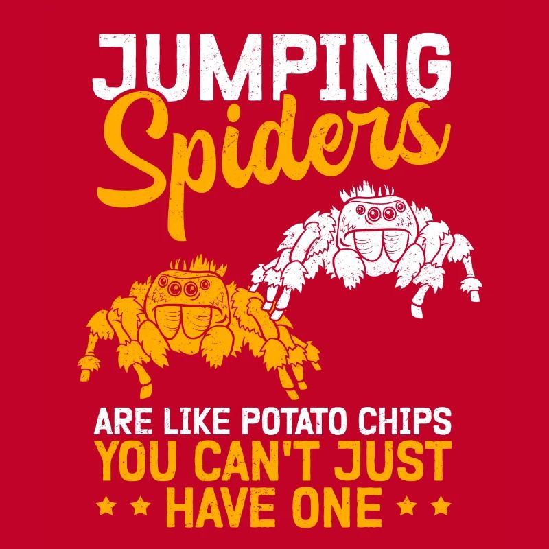 Jumping Spiders Spider Jumping Spider Gift
