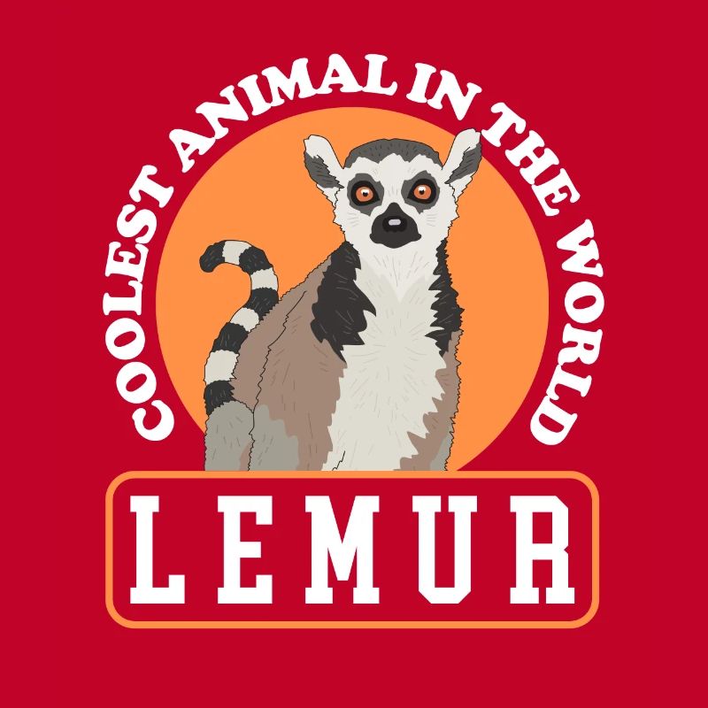 Lemurs Ringed lemur lemur curly tail lemure gift