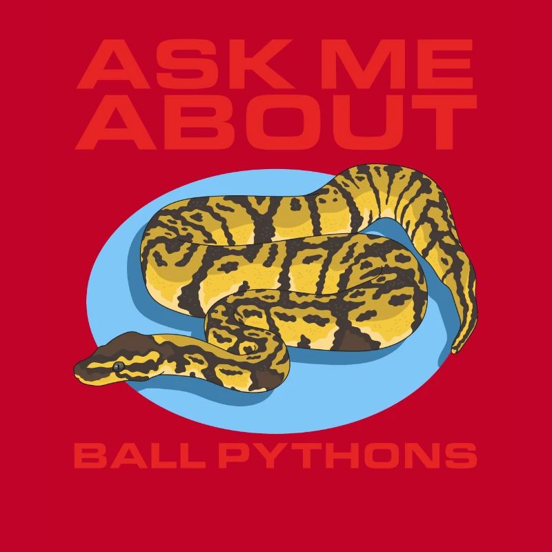 Roi Python Python Serpent Cadeaux