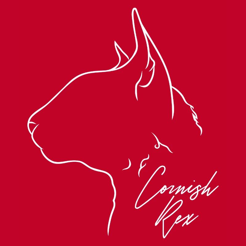 Cornish Rex Profil Chat Cat Wilsigns