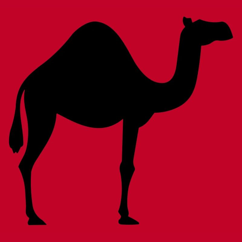 Camel