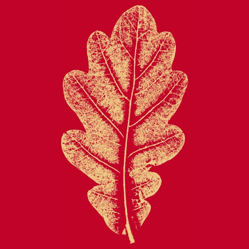 Eichenblatt - Khaki- Blatt/ Eiche/ Baum