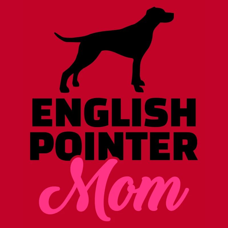 English Pointer