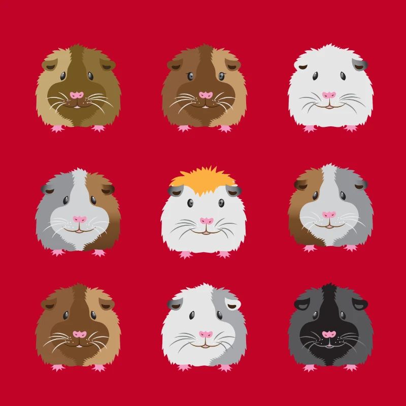 Nine guinea pigs faces
