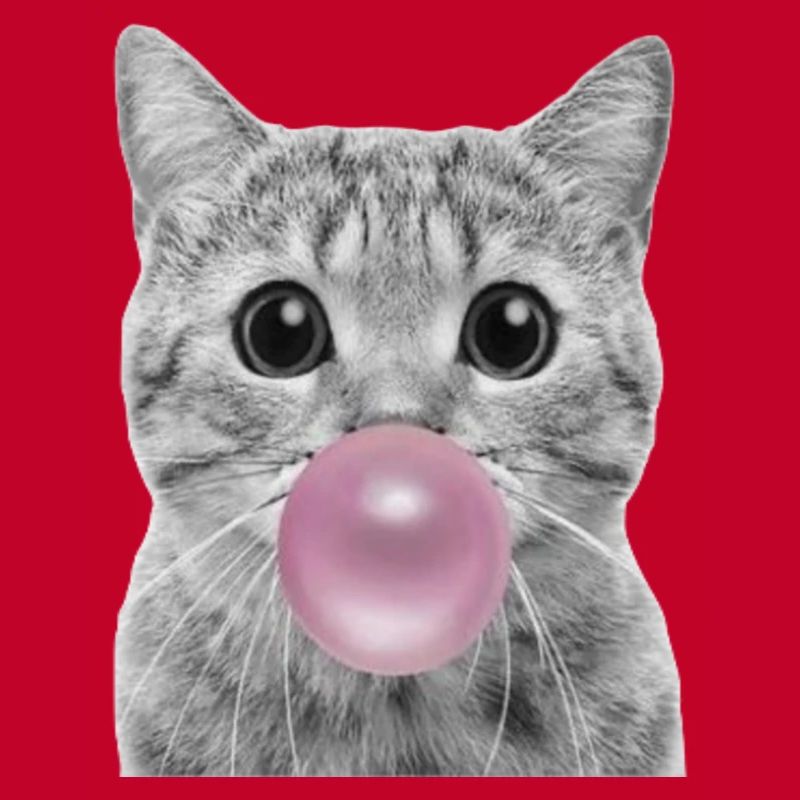 Bubble Cat