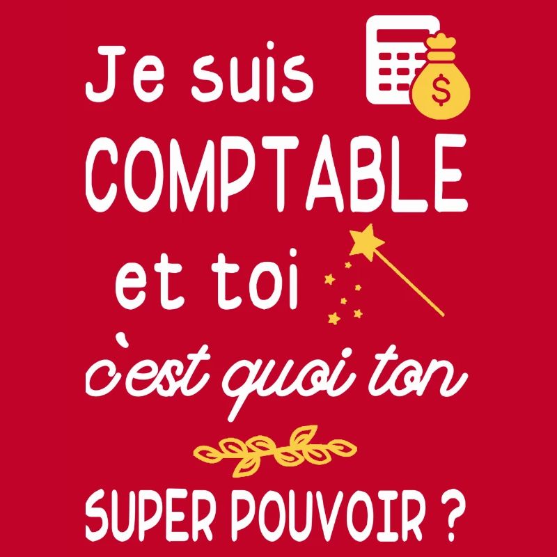 je suis comptable / humour comptable