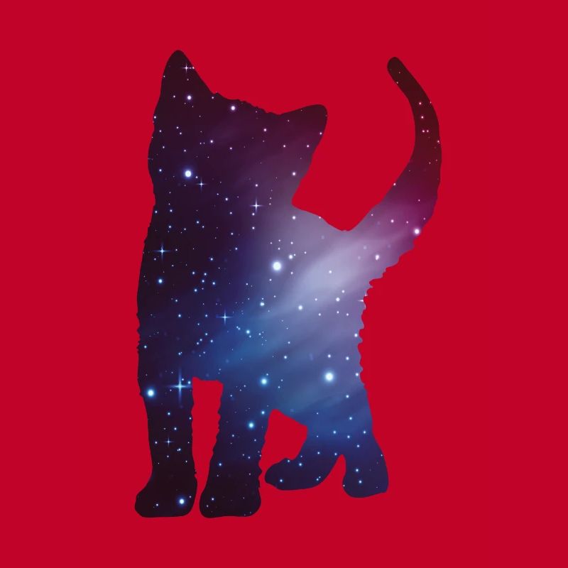 Cat Kitten Silhouette Space Cat Space Gift