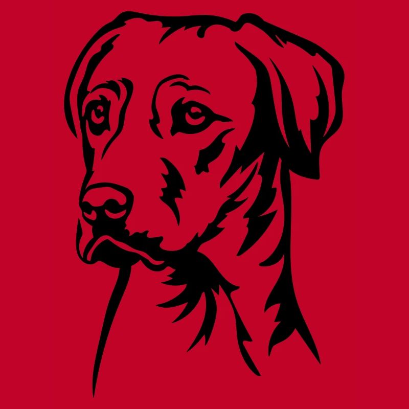 Rhodesian Ridgeback Head