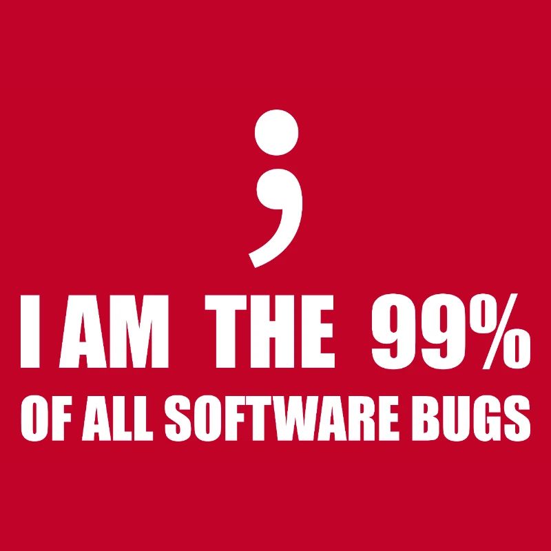 Programmeur Computer Scientist