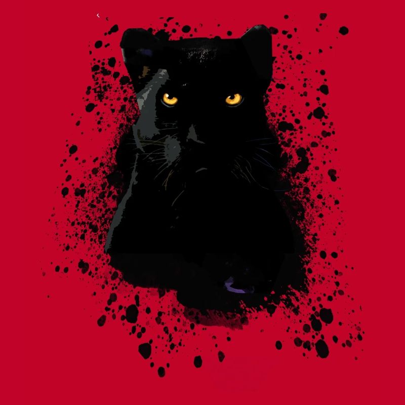 panthère noire, panthère, chat, emo, punk, graffiti