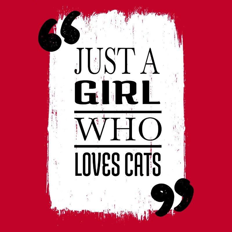 Cat Lover présente des avocats de chat persan