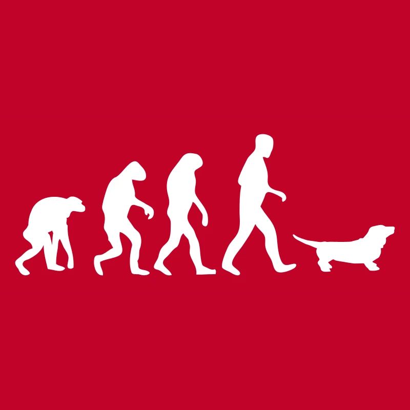 dackel evolution