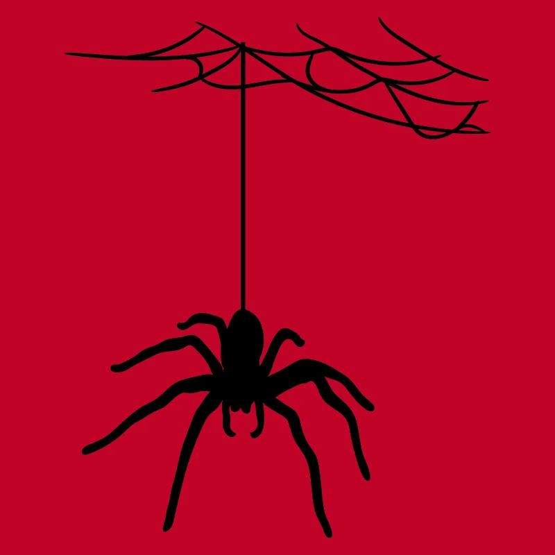 bland cobweb spider cobwebs large