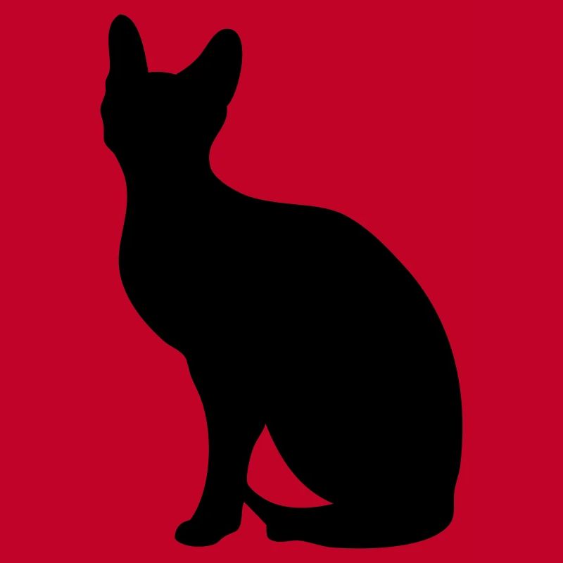 Sphynx - libre choix de la couleur