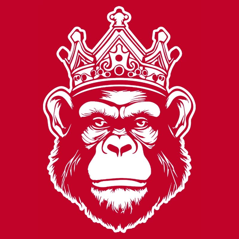 Monkey Monkey Monkey Face Jungle