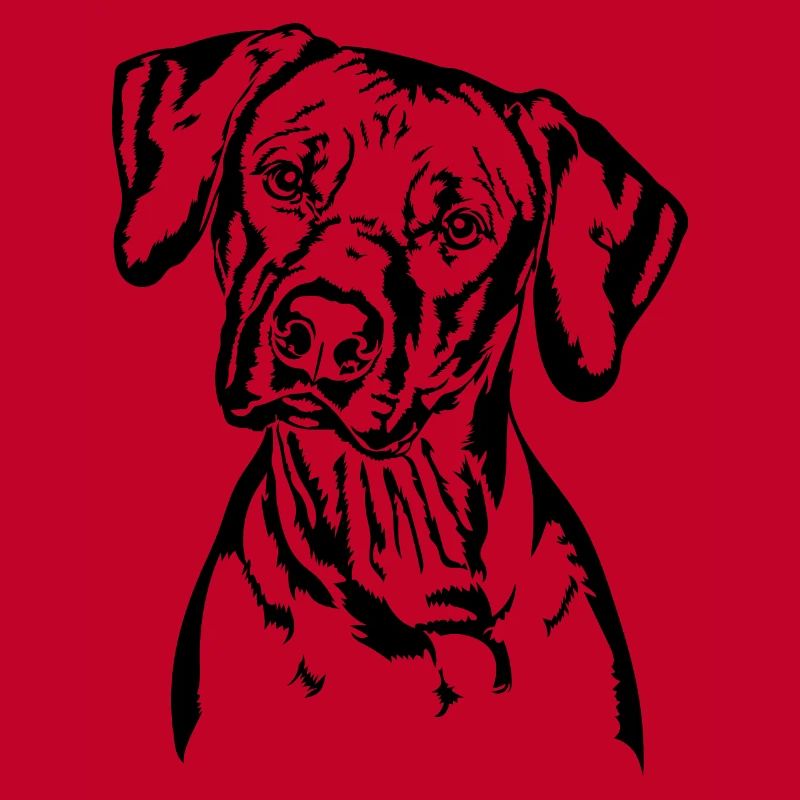 RHODESIAN RIDGEBACK Hunde Portrait Wilsigns