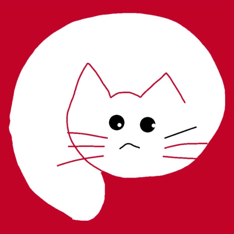 Katze weiss 1