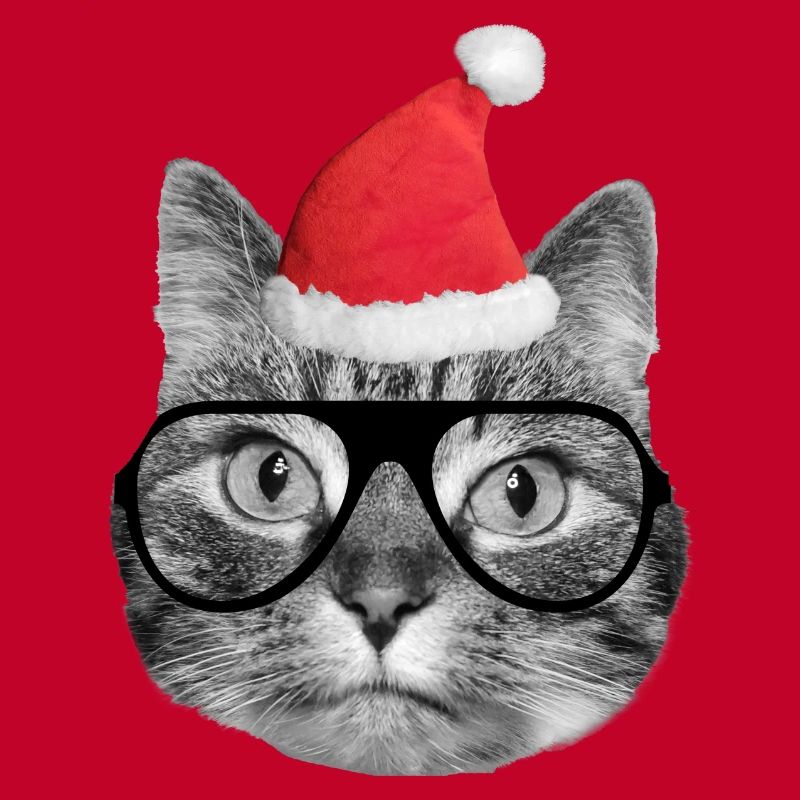 Mignon chat de Noël