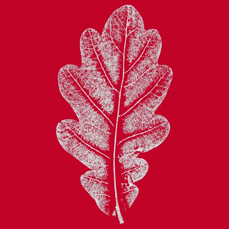 Blatt EICHE / Eichenblatt WEISS