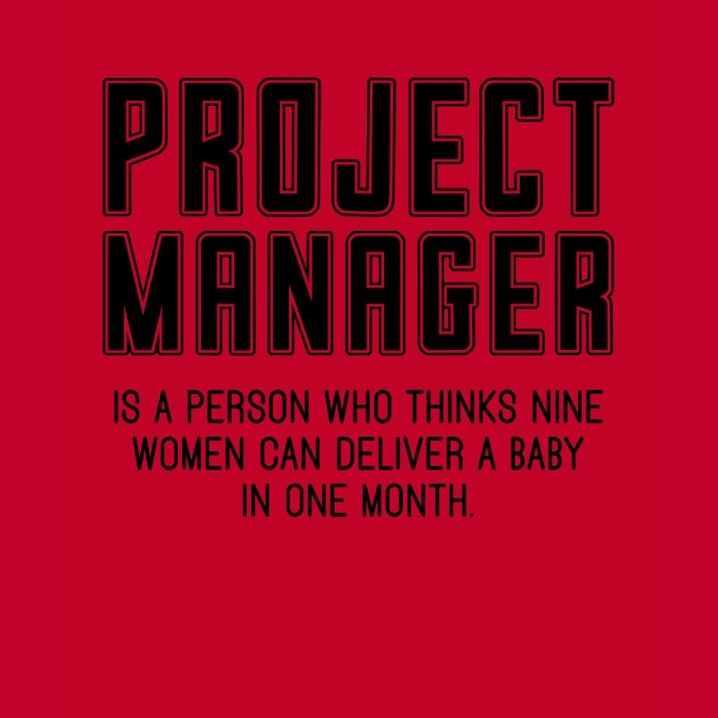 Project Manager Is A Profession Project Managers