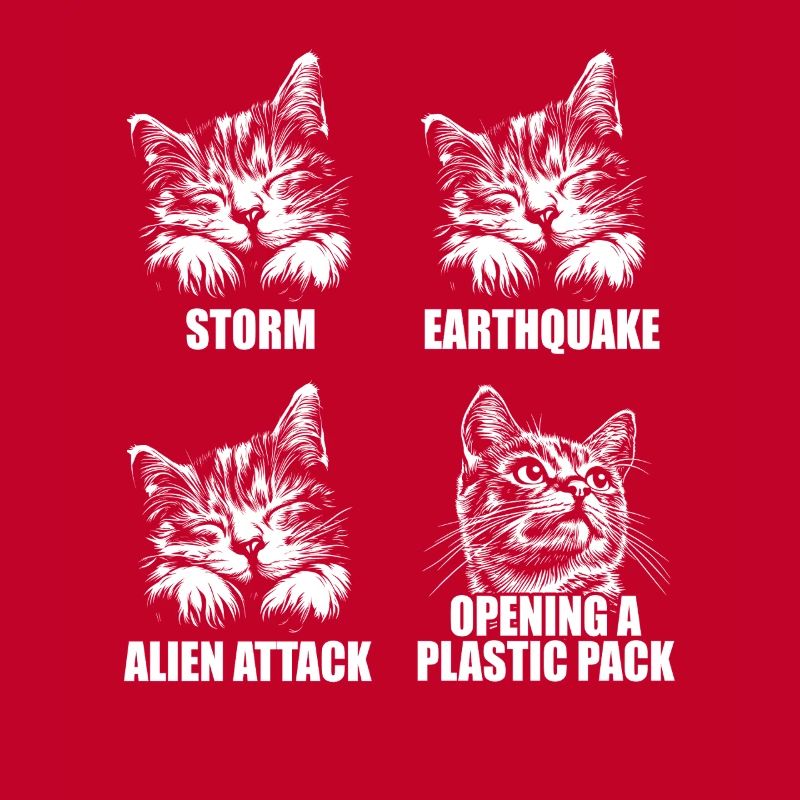 Cat - selective perception - saying