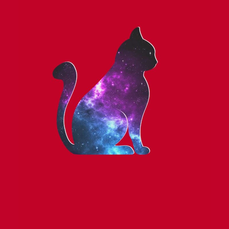 Cat Galaxy Space