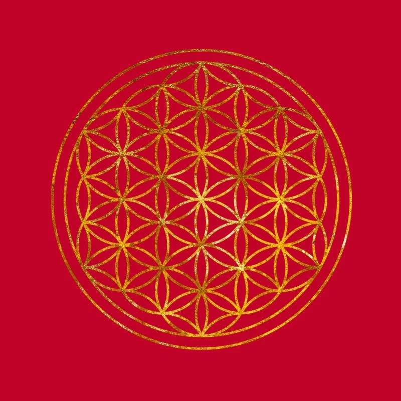 Blume des Lebens -Lebensblume