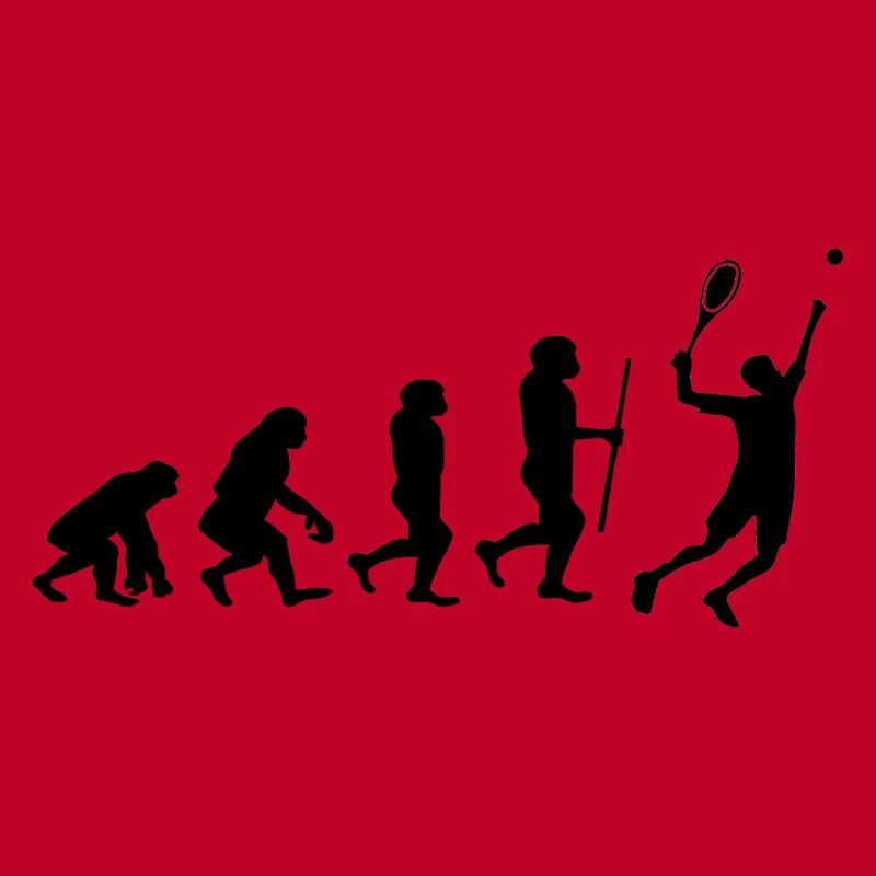 Tennis Evolution Badminton